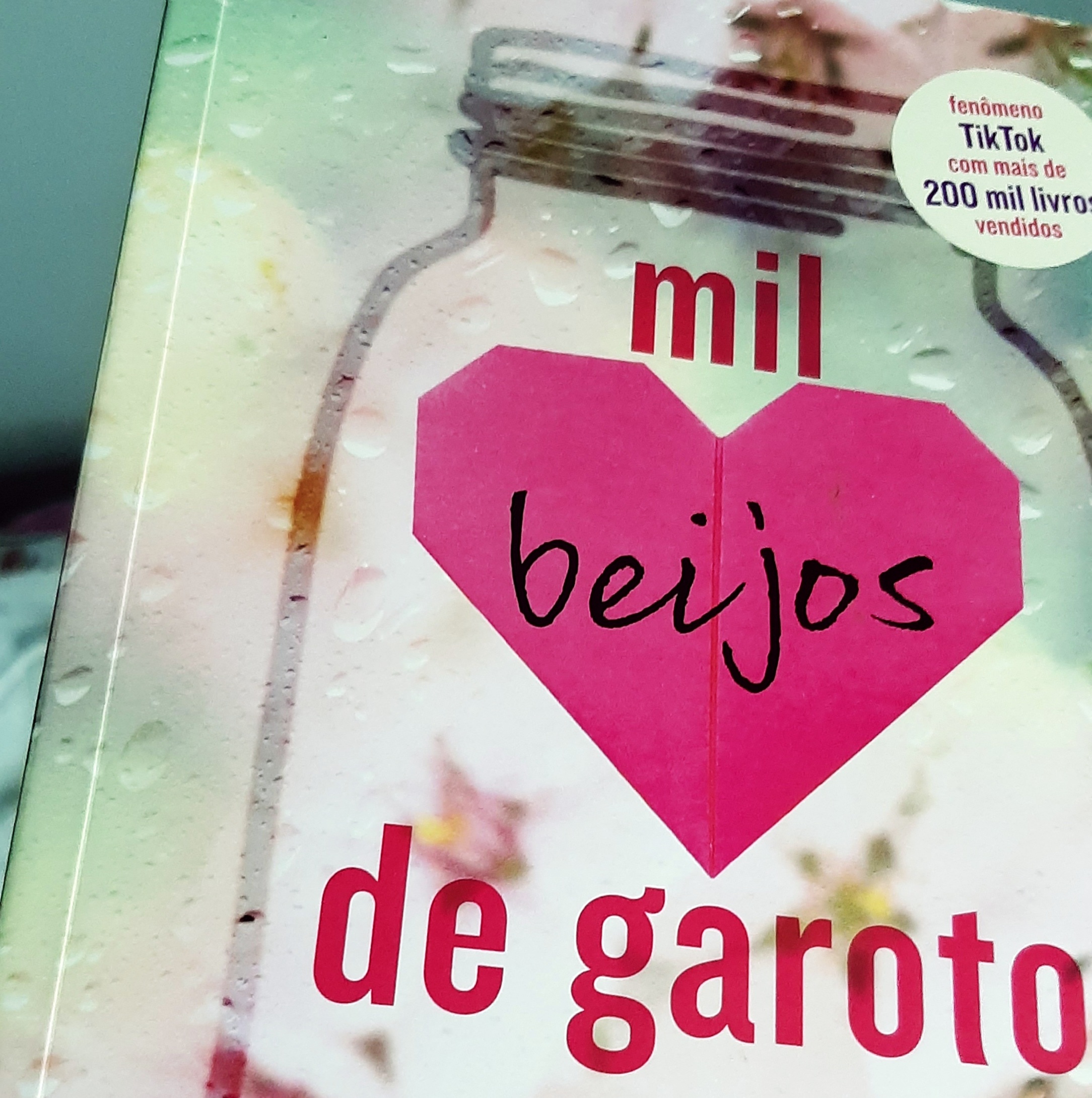Crítica Livro – Mil Beijos de Garoto.